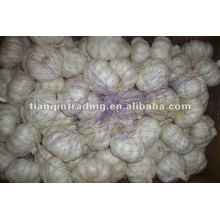 2012 china white garlic price